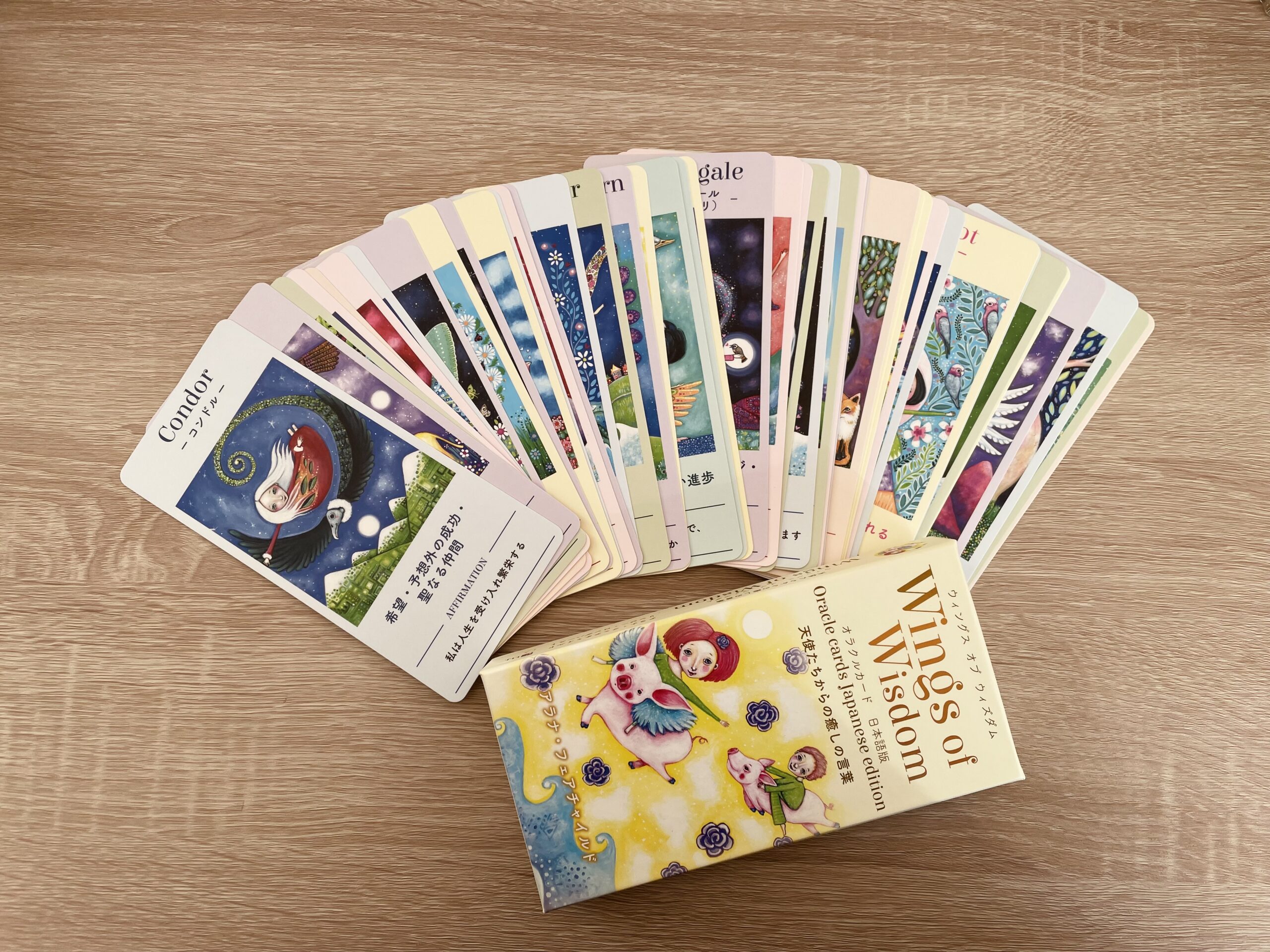 今日の1枚〜見た時がタイミング〜