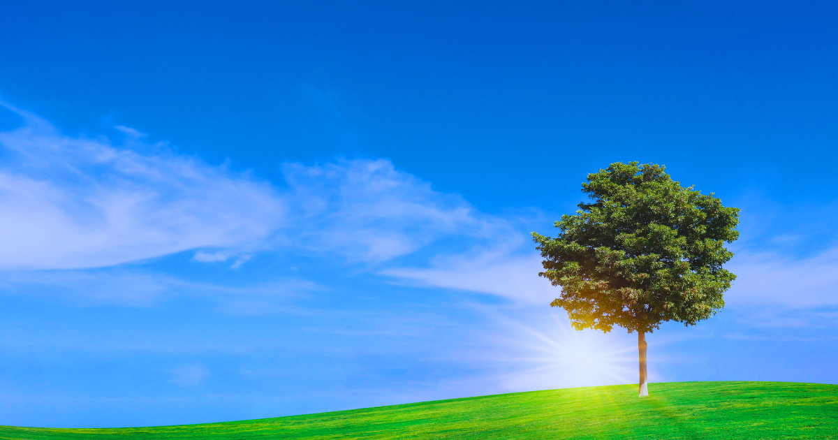 国之常立神とは？どんな神様？ご利益とスピリチュアル