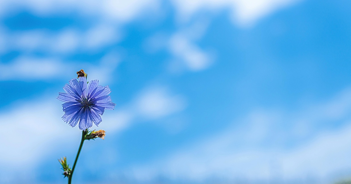 豊雲野神とは？どんな神様？ご利益とスピリチュアル