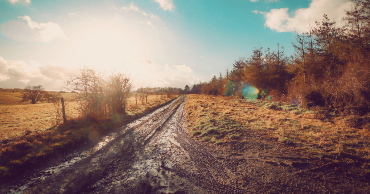 宇比地邇神とは？どんな神様？ご利益とスピリチュアル