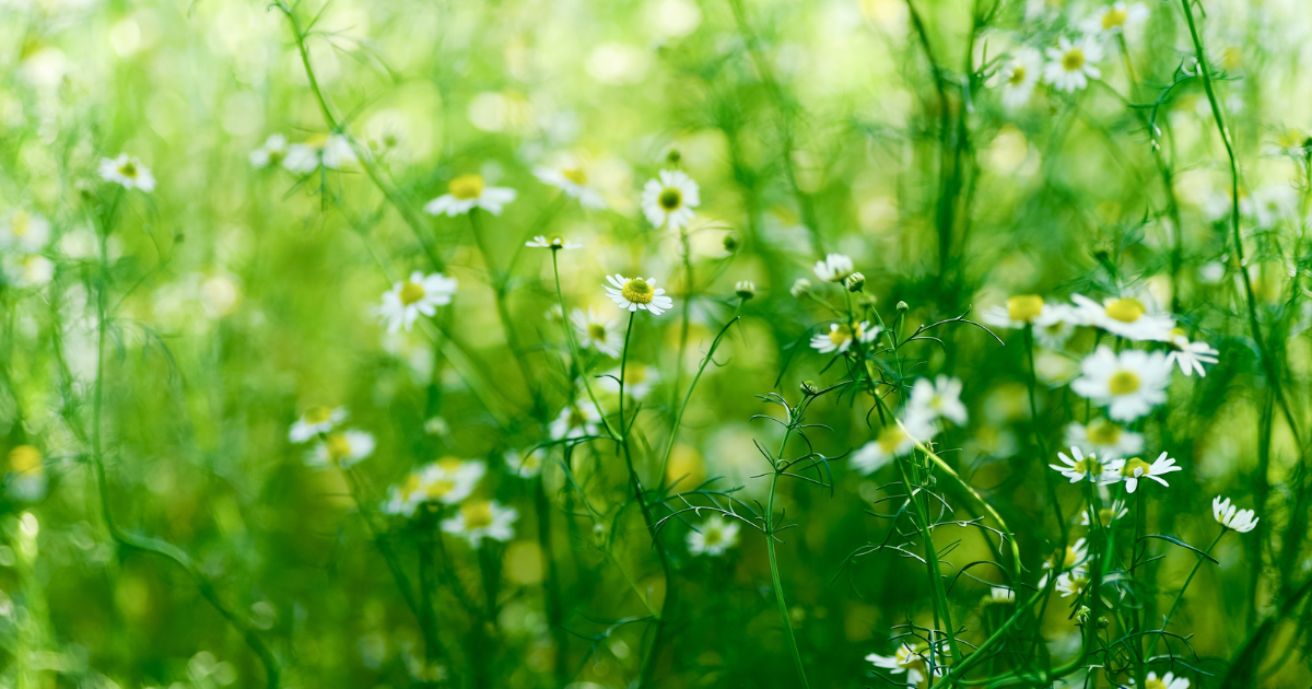 須比智邇神とは？どんな神様？ご利益とスピリチュアル