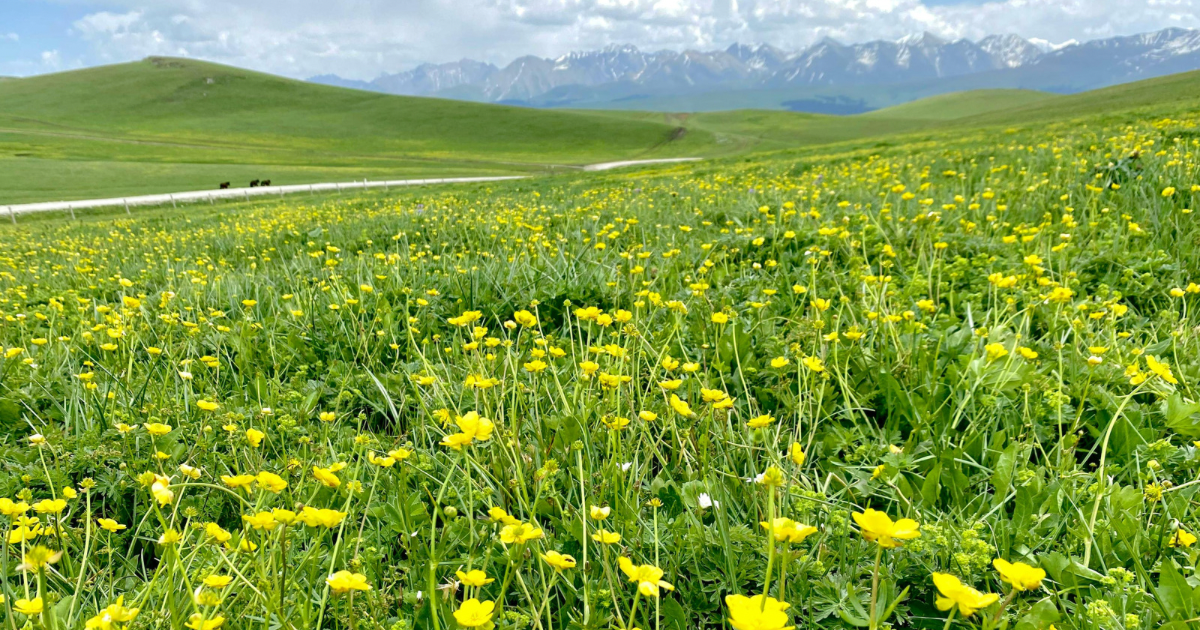 活杙神とは？どんな神様？ご利益とスピリチュアル