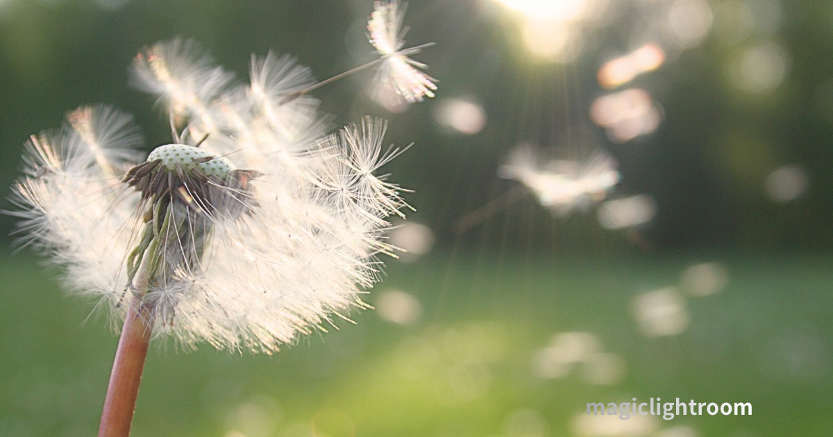 天之吹男神とは？どんな神様？ご利益とスピリチュアルな意味