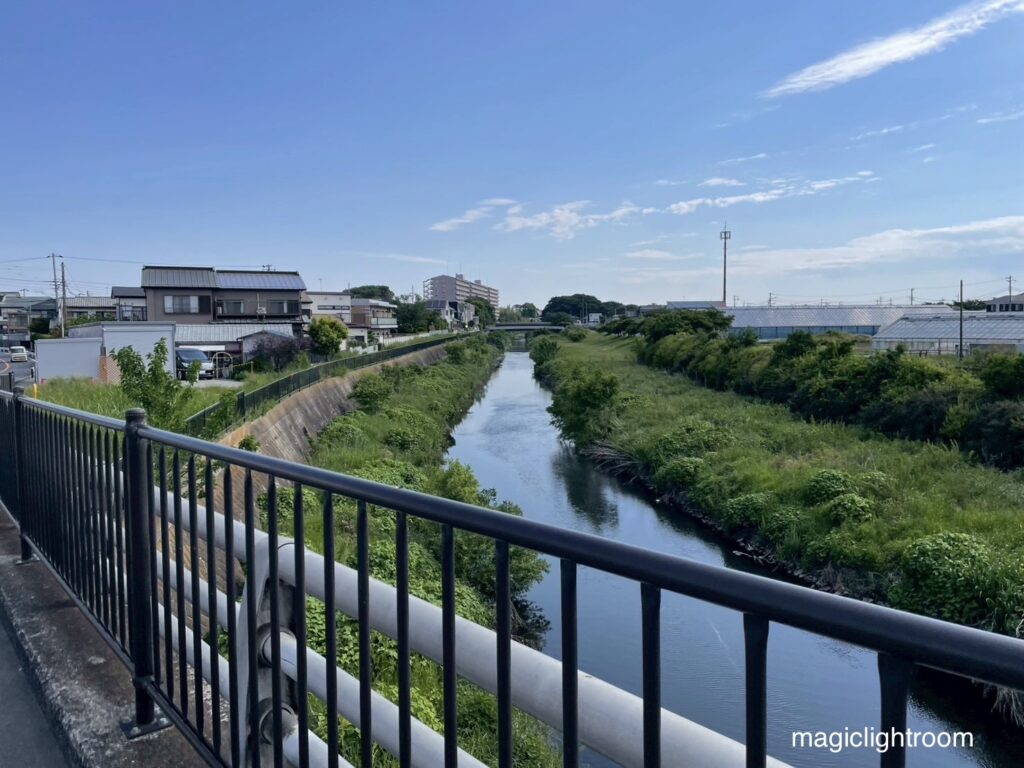 橋の上から見た川
