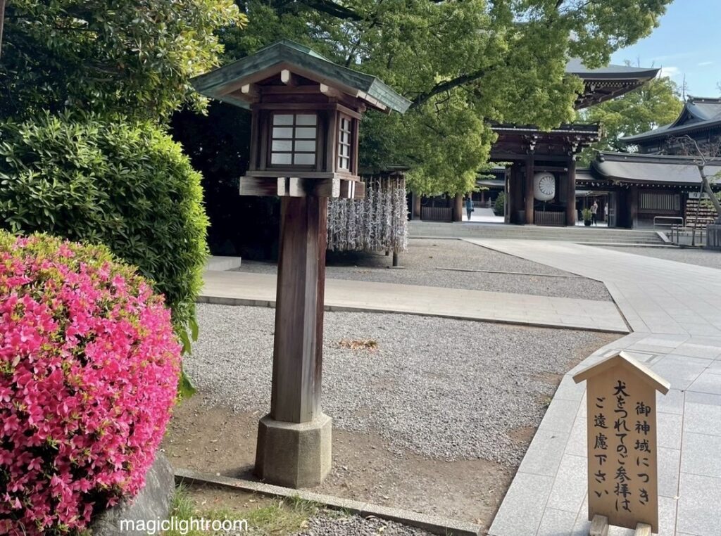 寒川神社 参道脇
