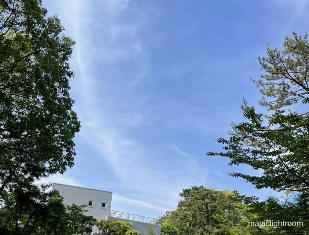 寒川神社 龍神雲しっぽ