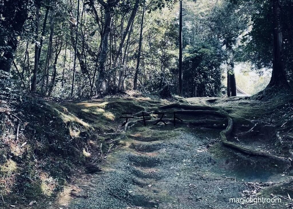 とある天之御中主神神社の参道