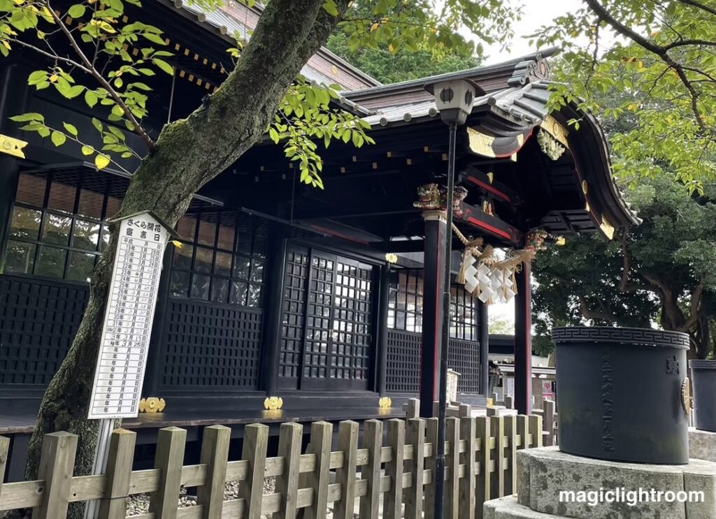 木々に囲まれた社殿