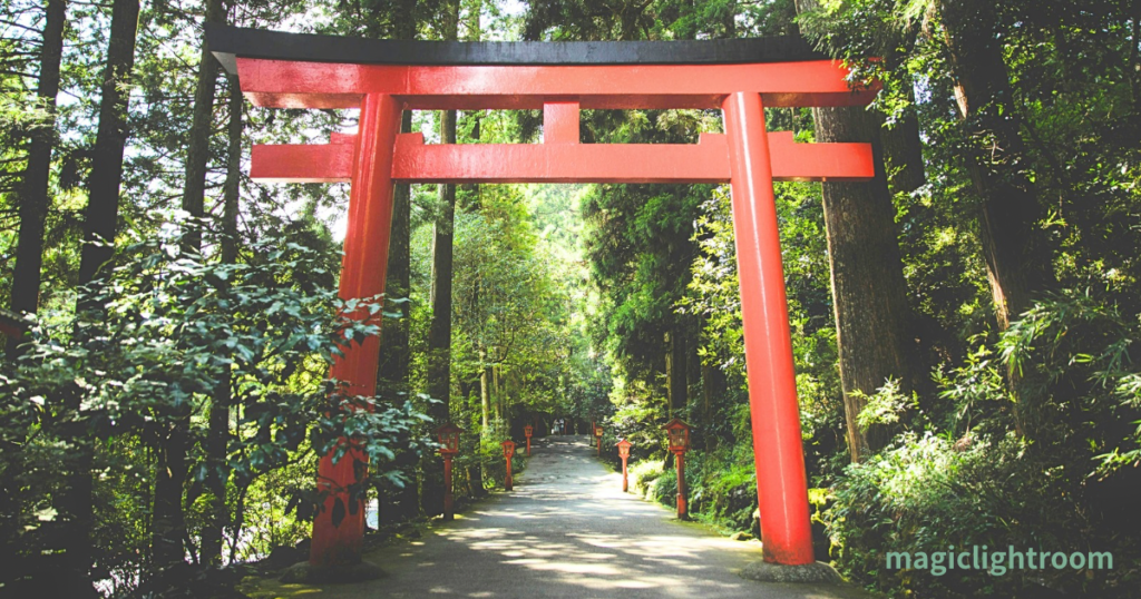 森林 鳥居
