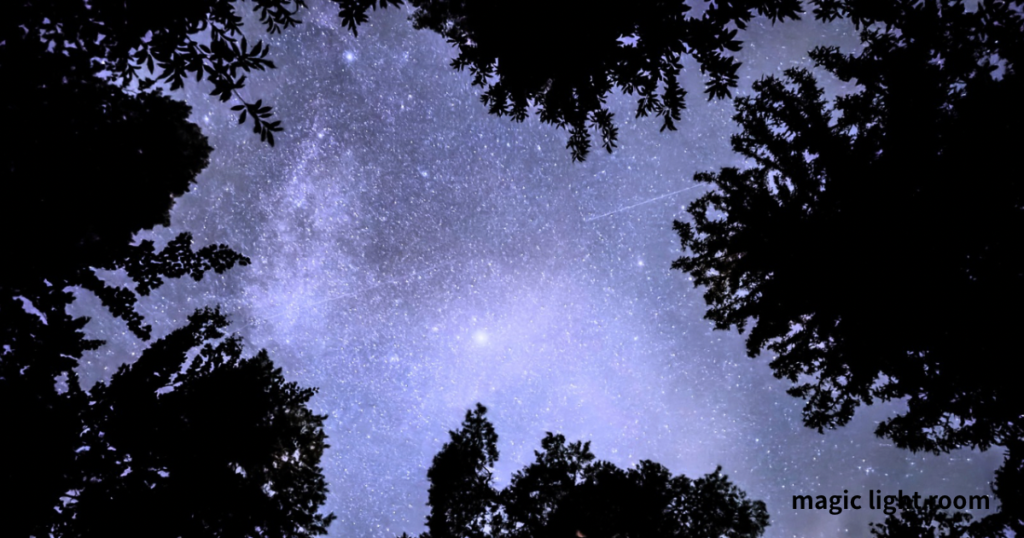 木々の隙間から星空 見上げる