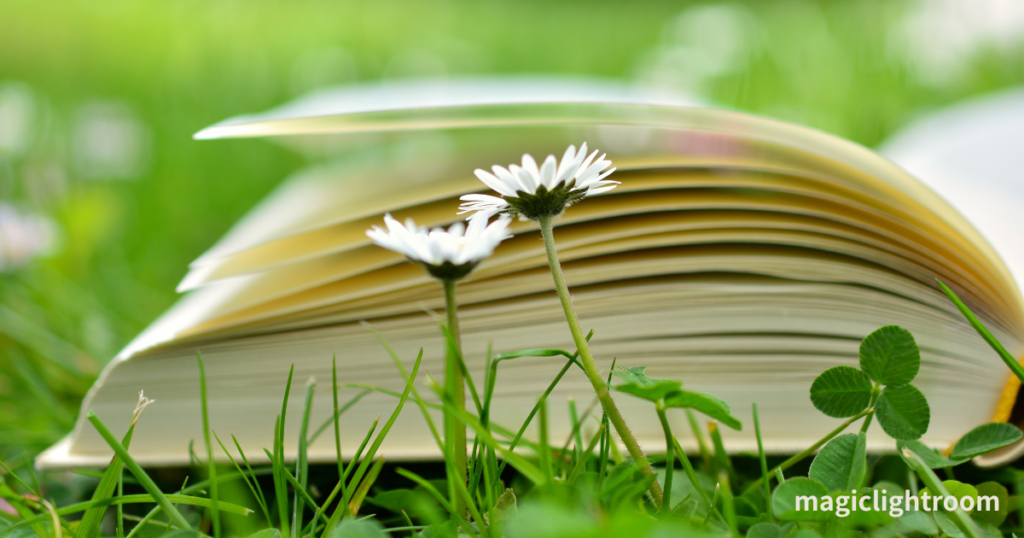 自然の中で読書
