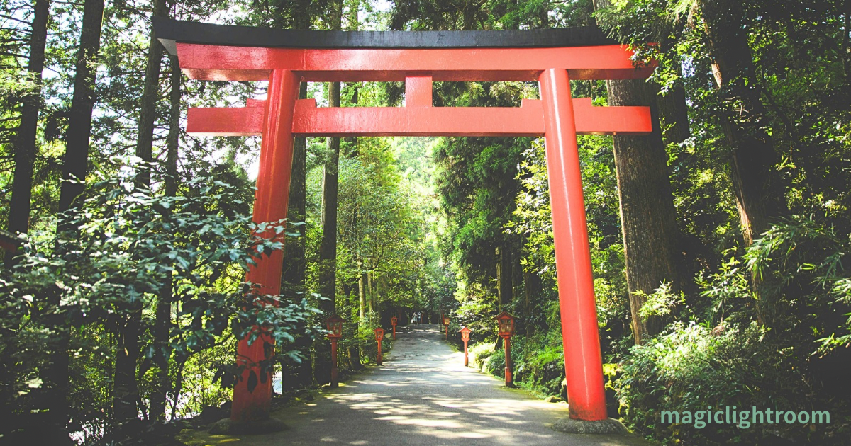 森林の中の鳥居