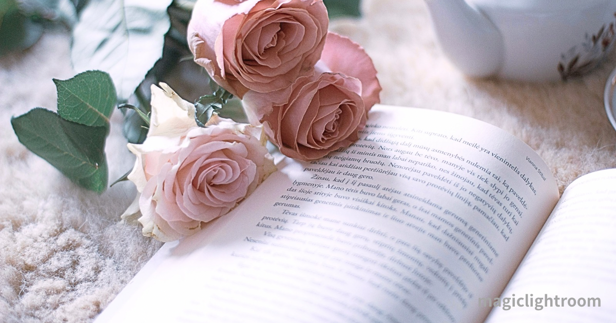 ピンクの薔薇と書籍
