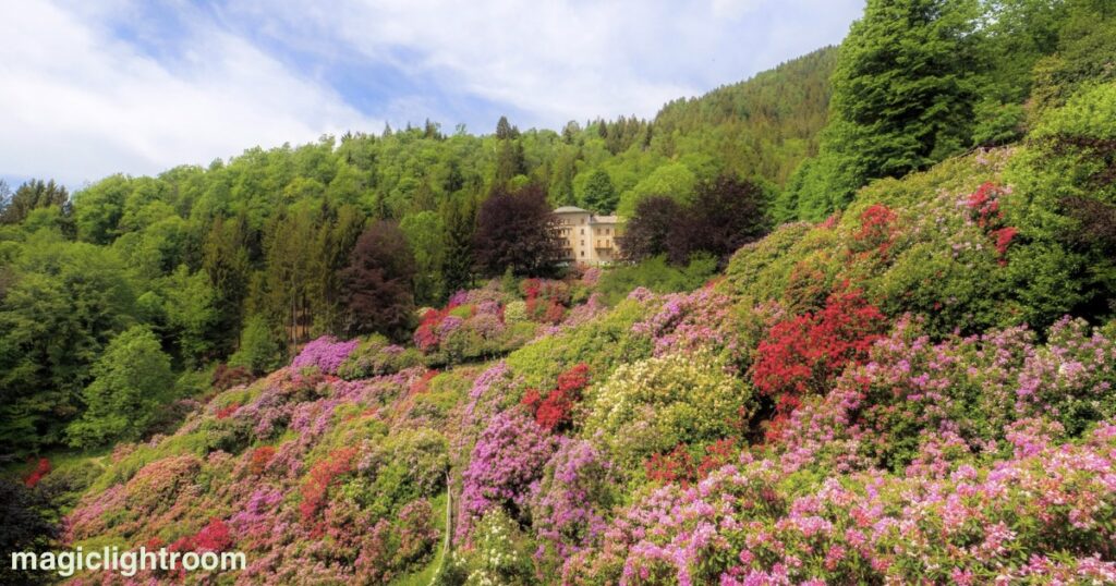 花が咲く山間